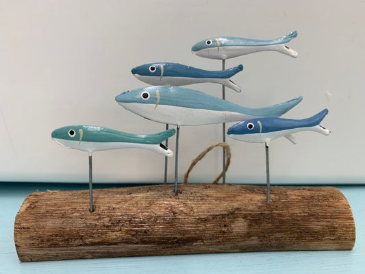 Blue School of 5 Fish on a Driftwood Log