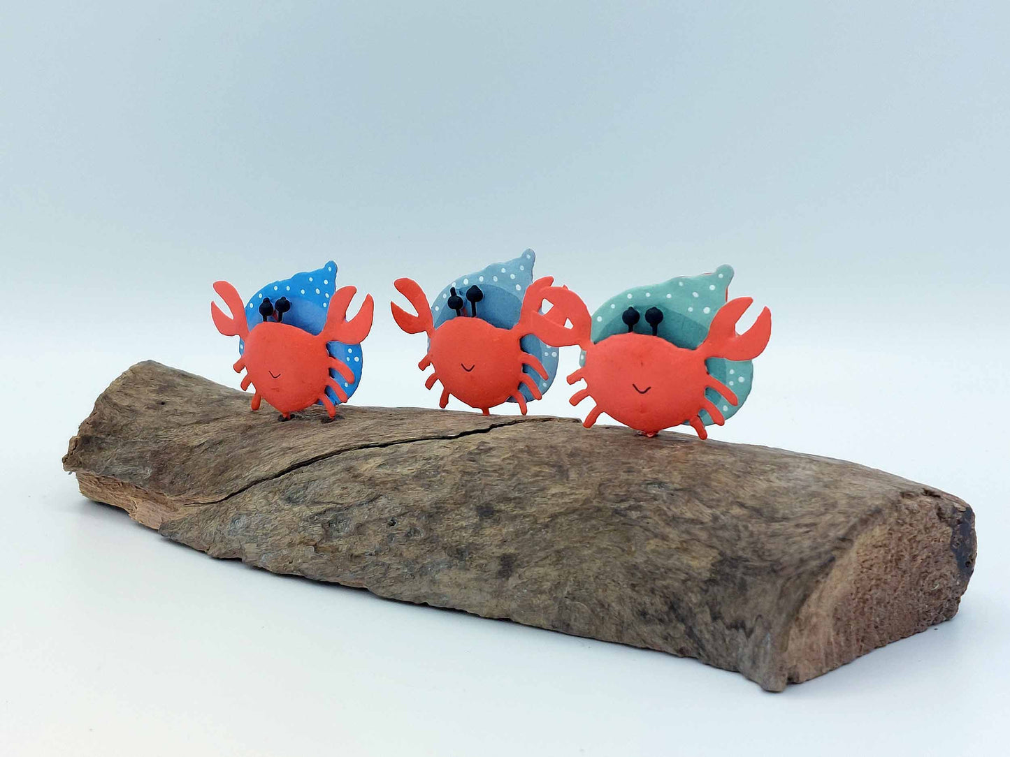 3 Hermit Crabs On A Natural Wooden Base