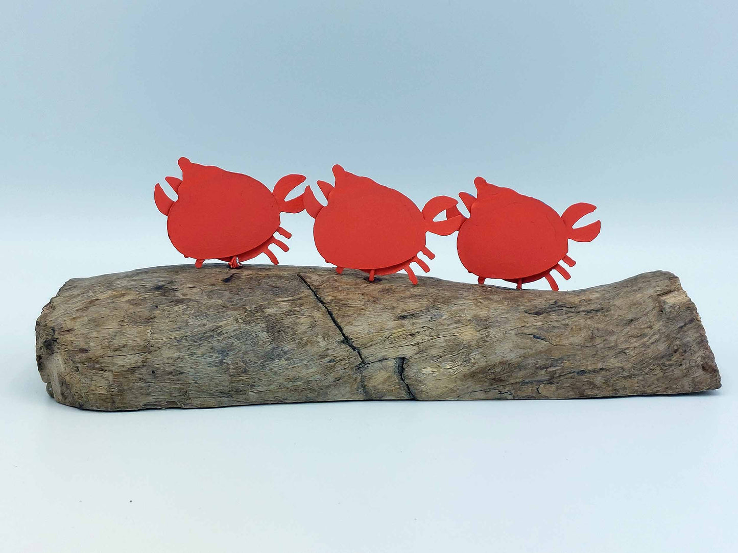 3 Hermit Crabs On A Natural Wooden Base