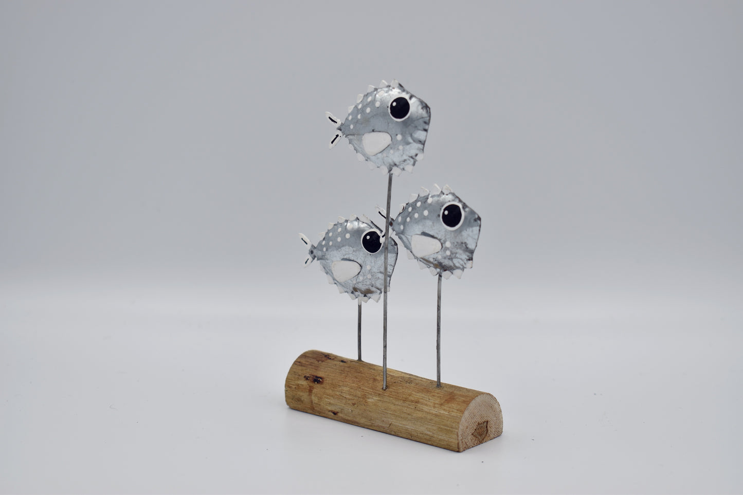 Funky Little Silver School of Puffer Fish on a Drifwood Stand
